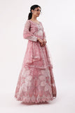 Designer Gown