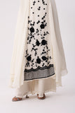 Frock Suit