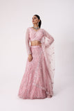 Designer Lehenga