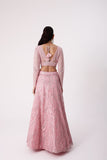 Designer Lehenga